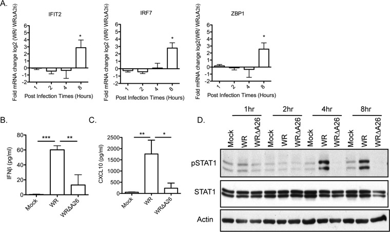 FIG 6