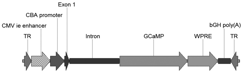 Figure 3: