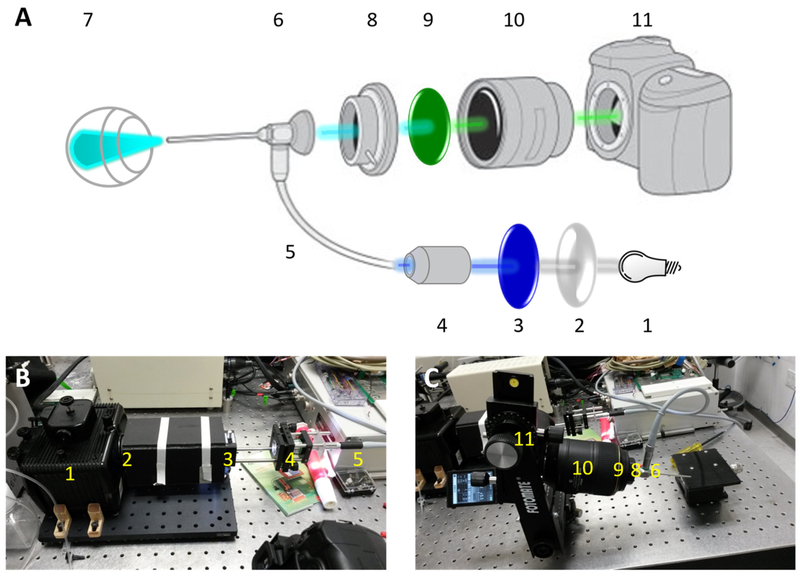 Figure 1: