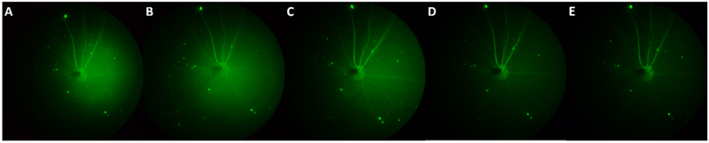 Figure 7: