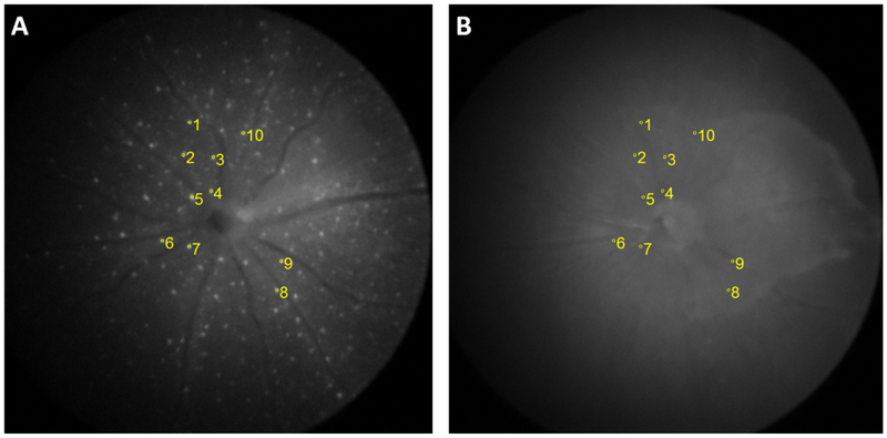 Figure 2: