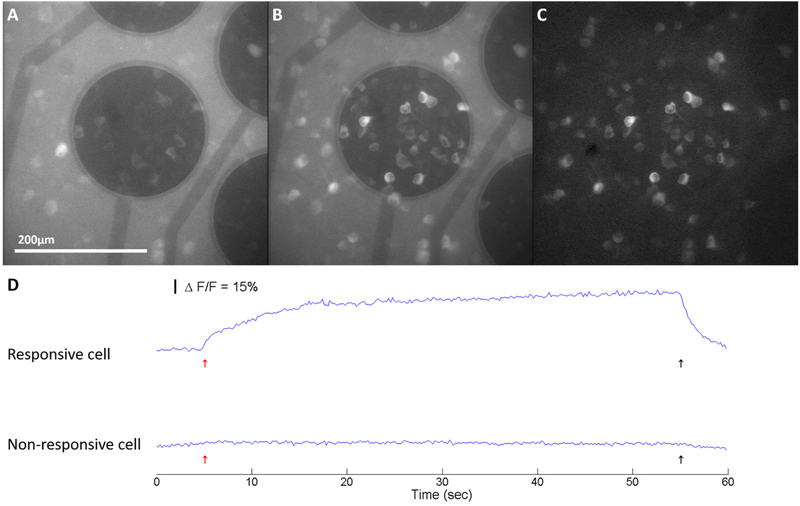 Figure 10: