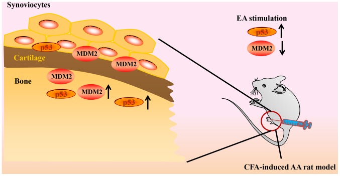 Figure 6.