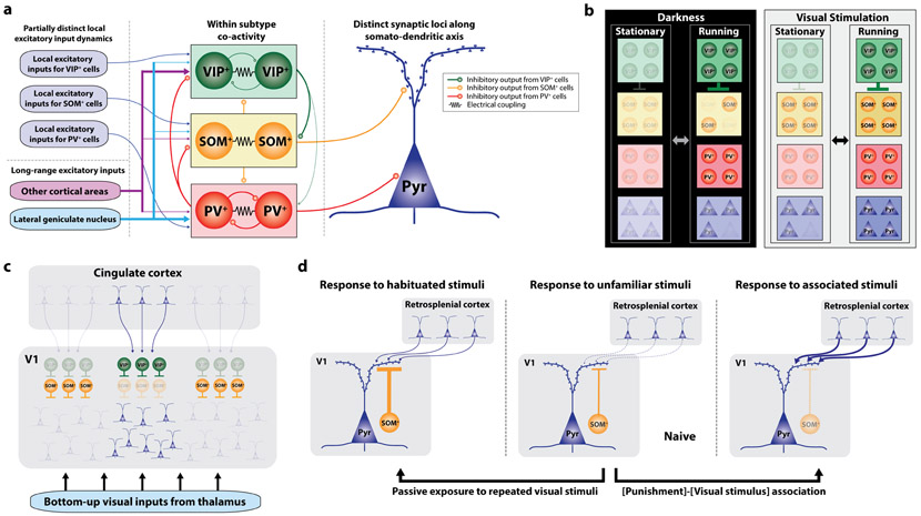 Figure 1: