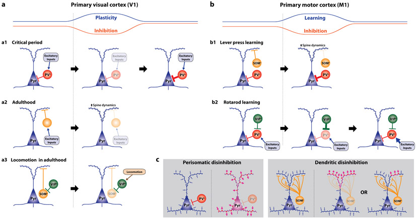 Figure 2: