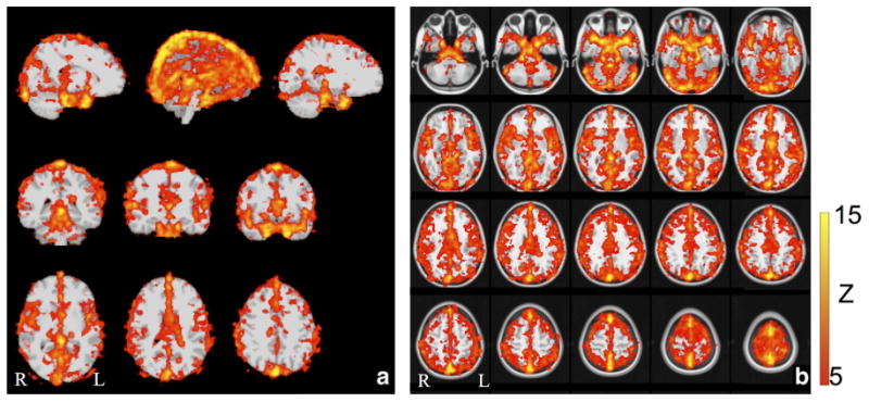 Fig. 7