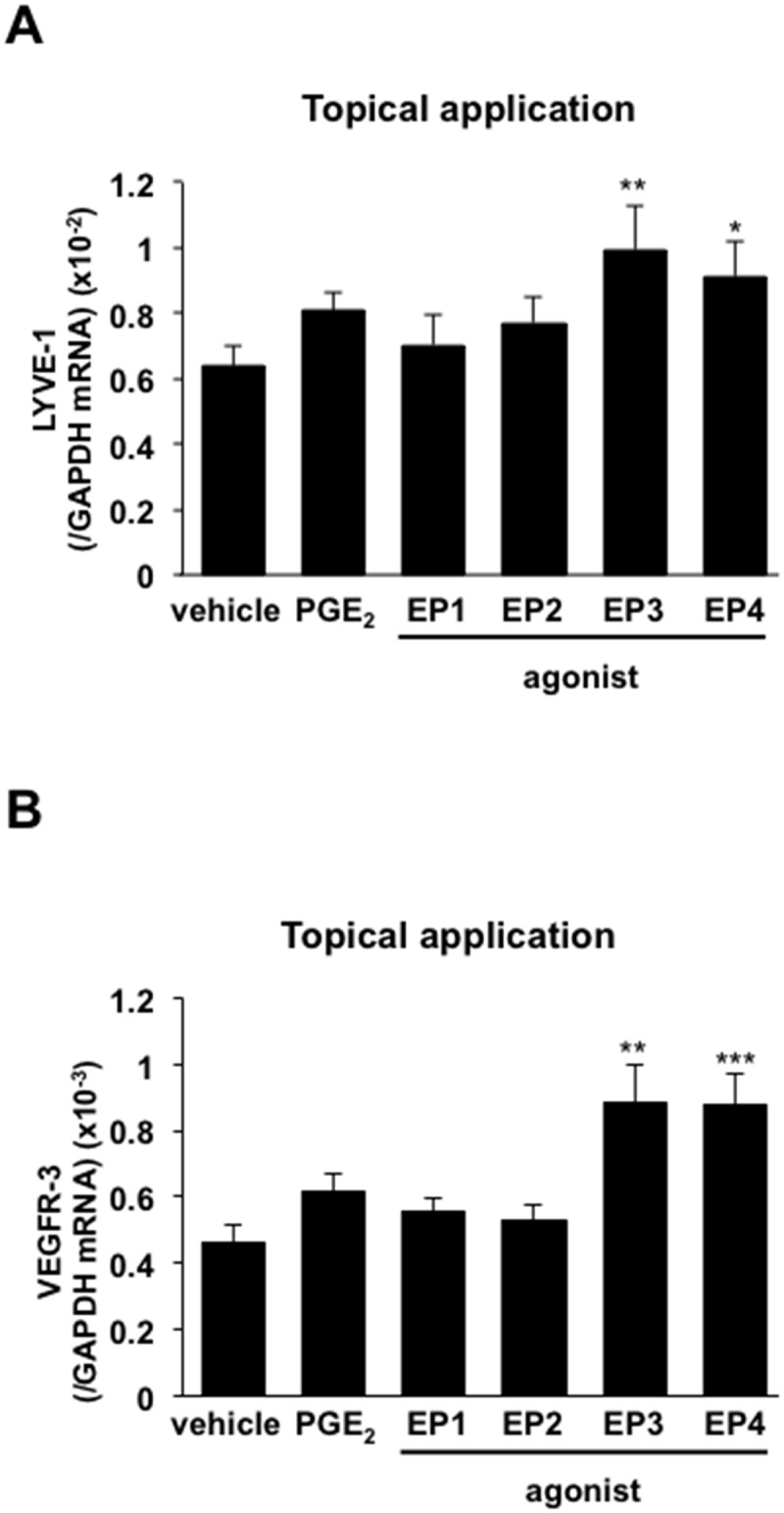 Fig 7