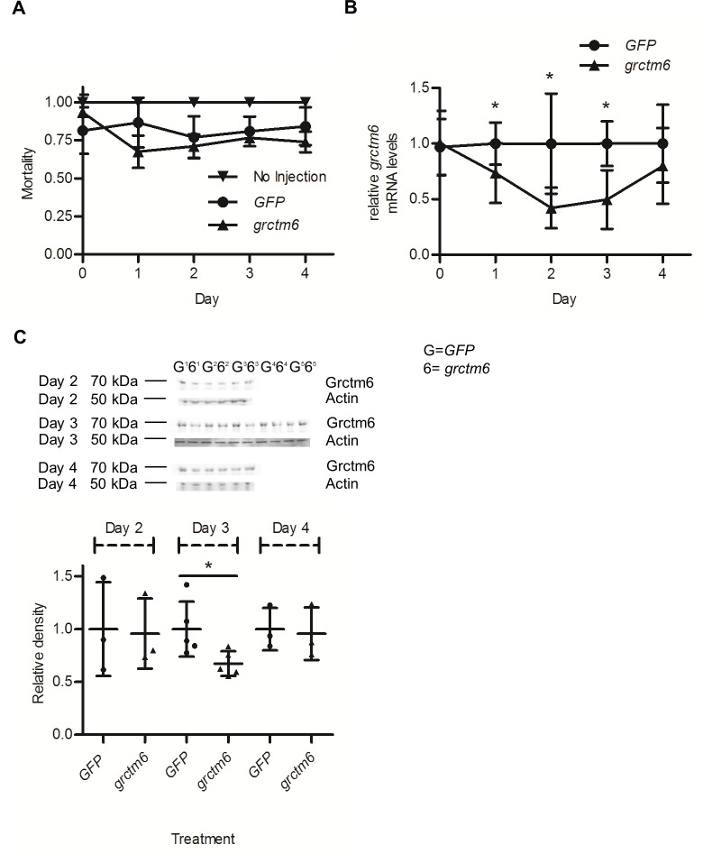 Fig 4