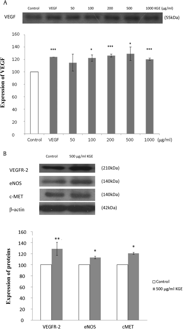 Fig. 6A