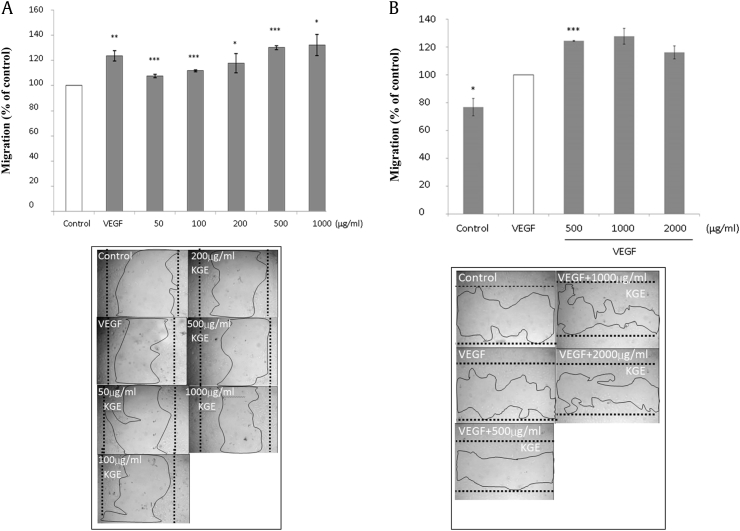 Fig. 2A