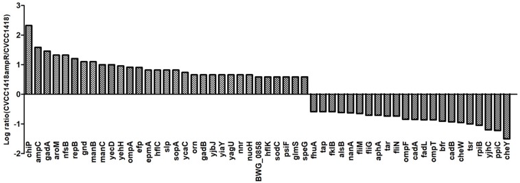 FIGURE 3