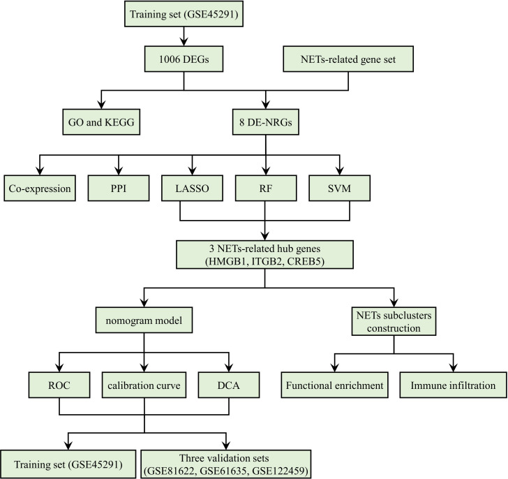 Figure 1