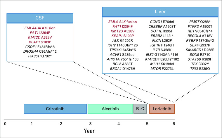 FIG A1.