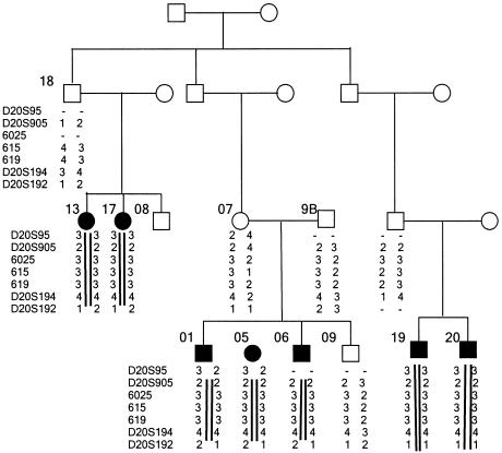 Figure  2