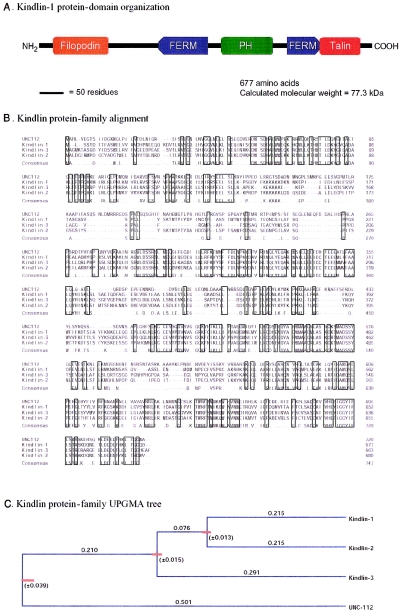 Figure  4