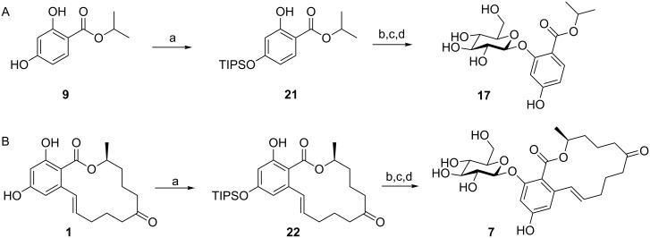 Scheme 6