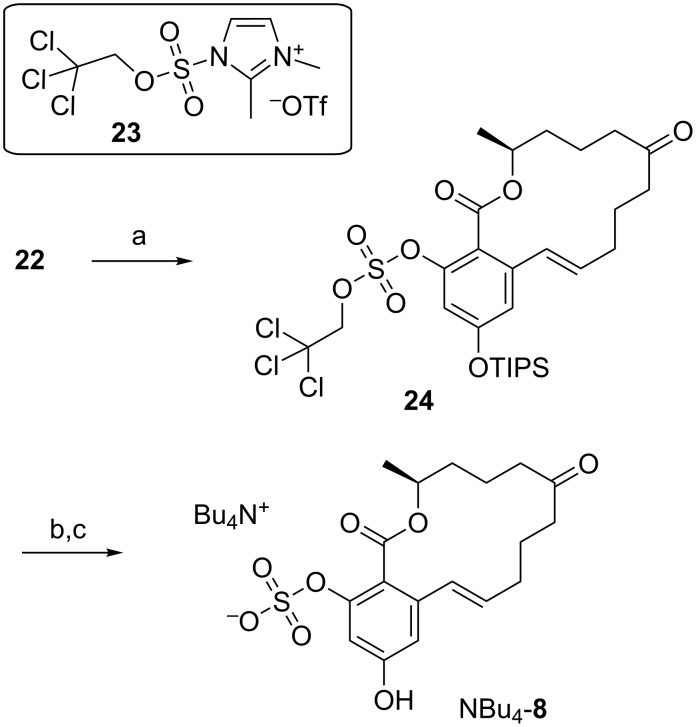 Scheme 7