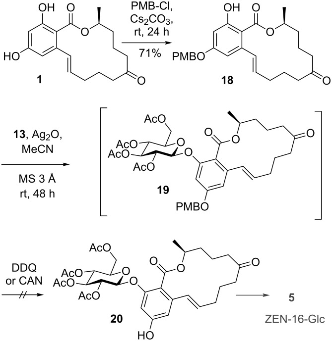 Scheme 5