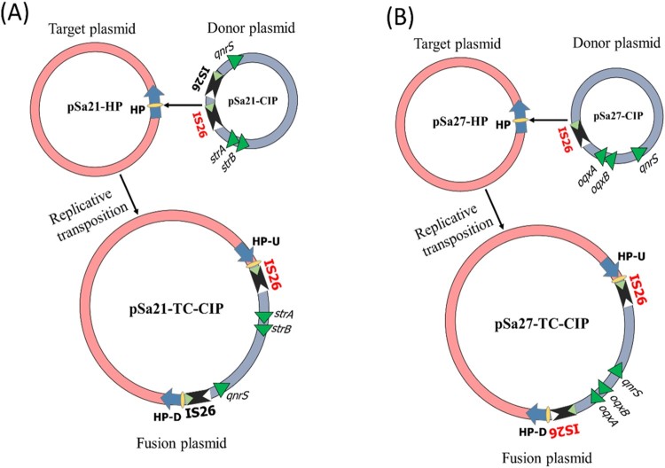 Figure 3.