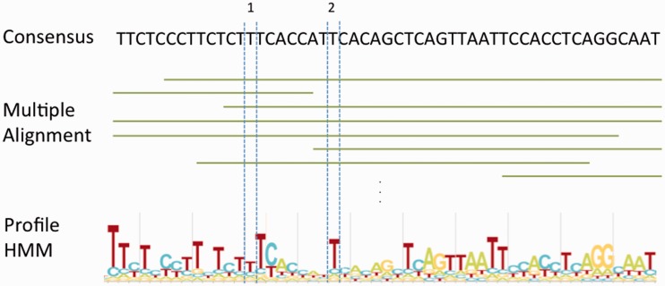 Figure 2.