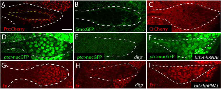 Fig. 2.