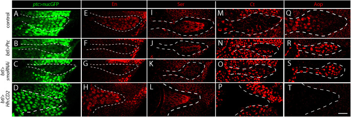 Fig. 3.