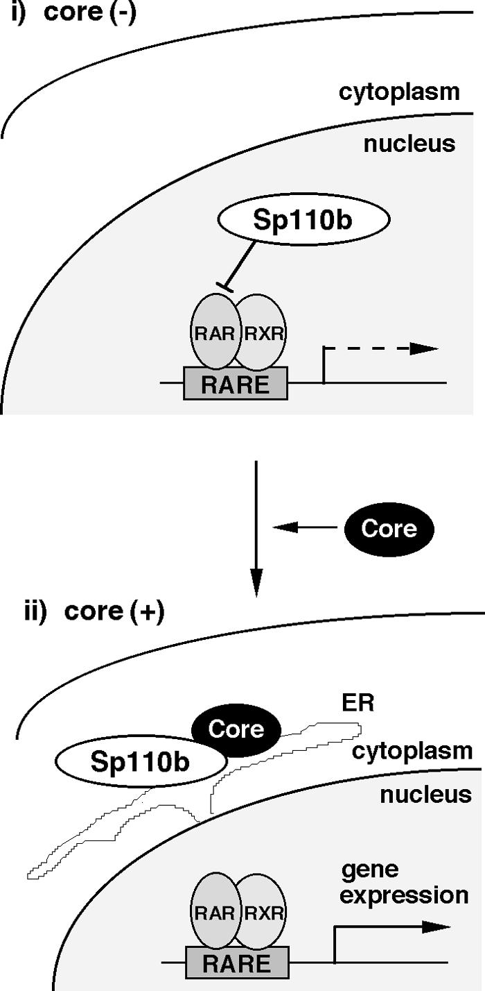 FIG. 9.