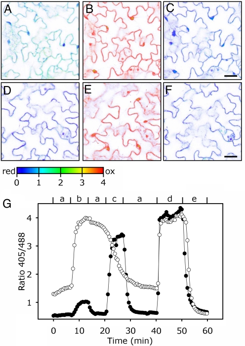 Fig. 4.