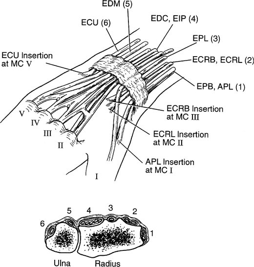 Fig. 11