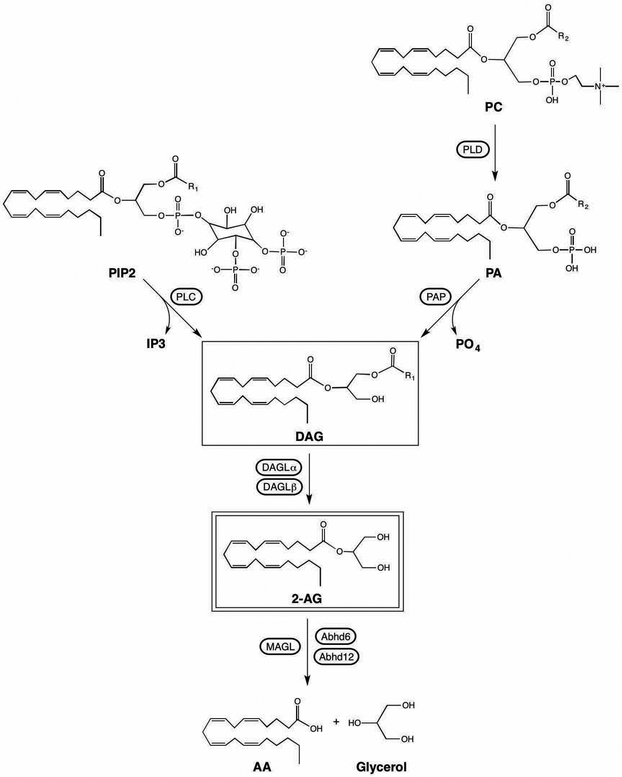 Figure 2.