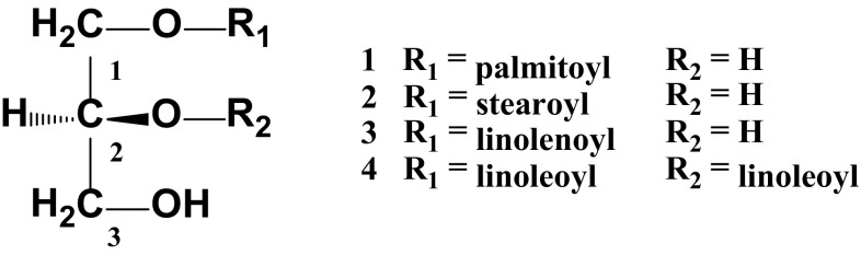 Fig. 1