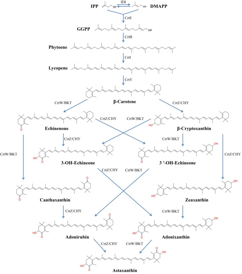 Fig. 1