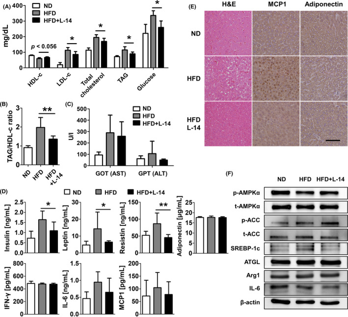 FIGURE 3