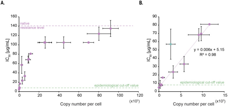 Figure 2 –