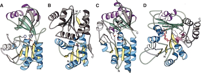 Figure 1.