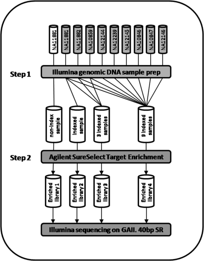 Figure 1.