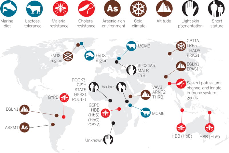 Global distribution of locally adaptive traits