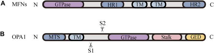 FIGURE 2