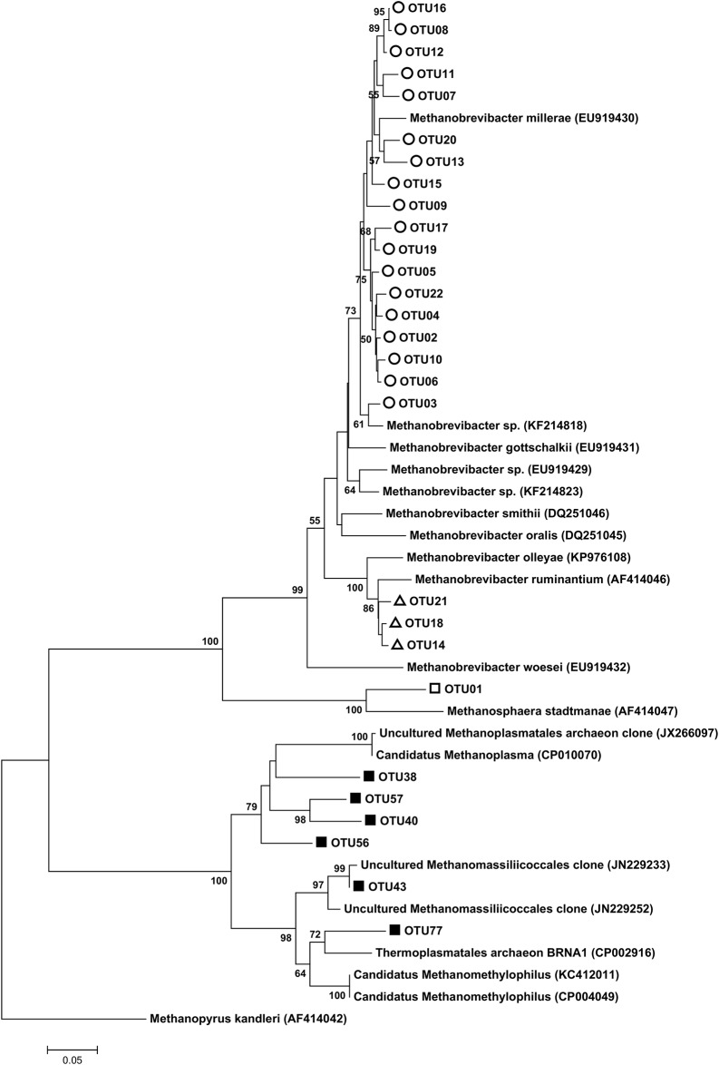 Fig 6