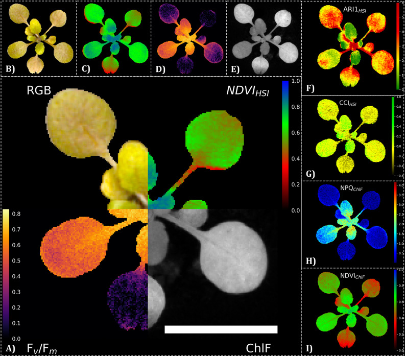 Fig. 1