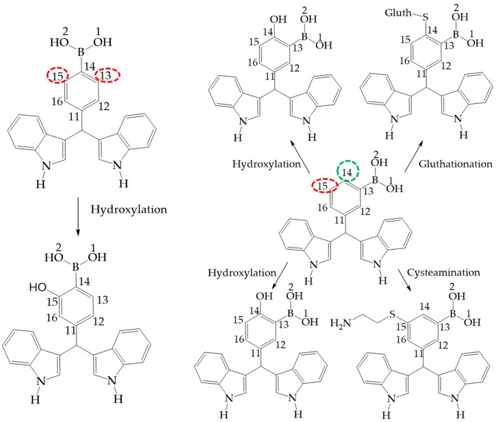 Figure 10