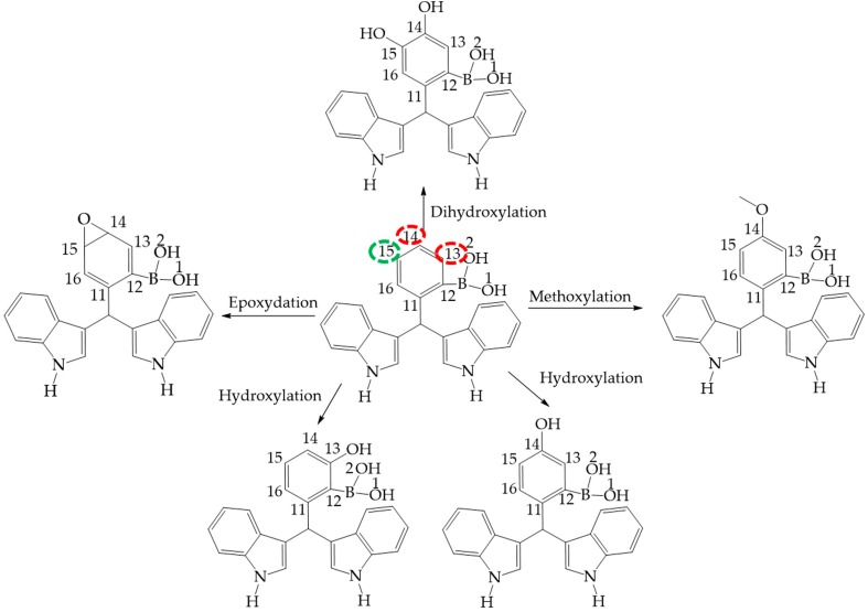 Figure 11