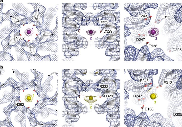 Extended Data Fig. 5 |