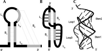 FIGURE 3.