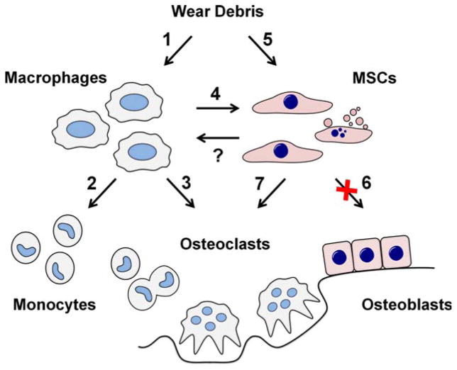 FIGURE 3