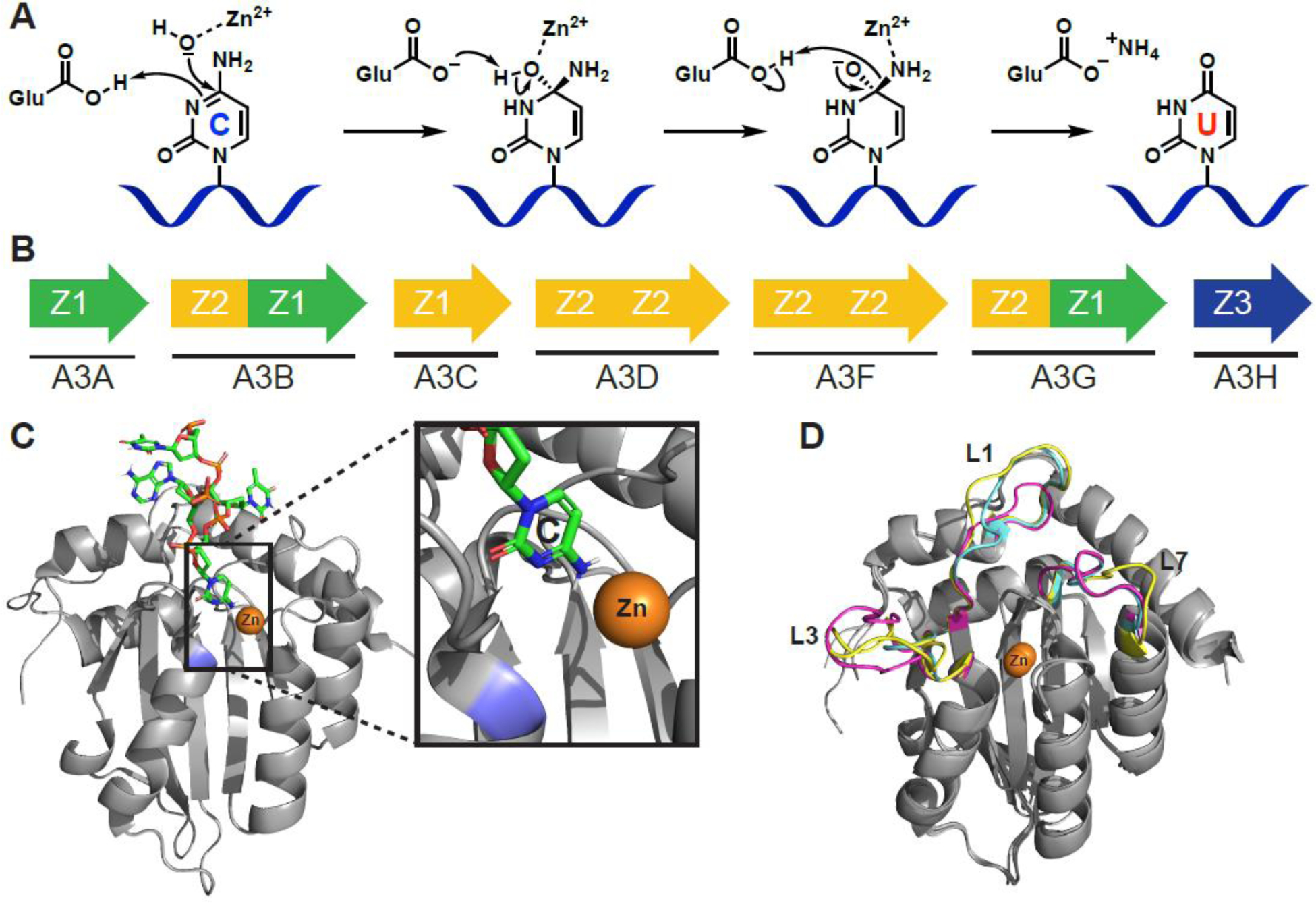 Figure 1.