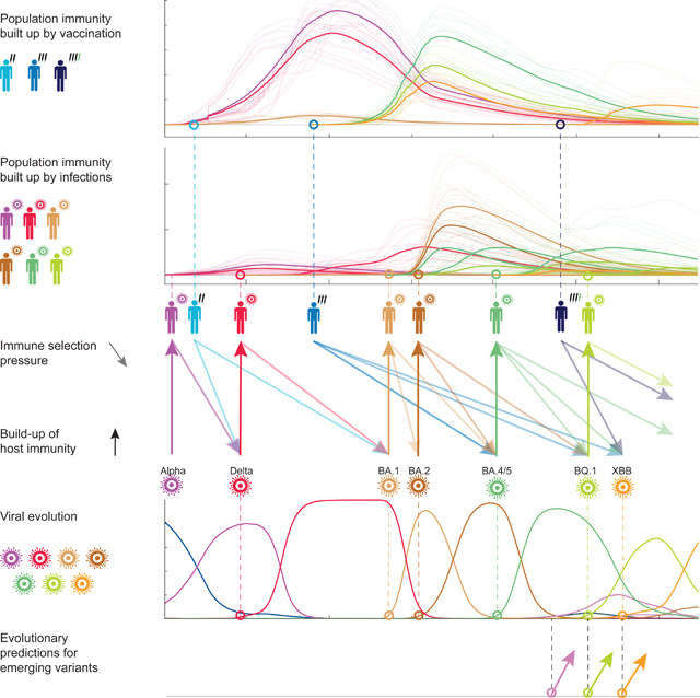 graphic file with name nihms-1936276-f0006.jpg