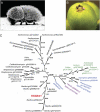 Fig. 1.