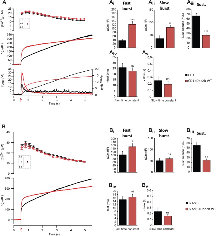 Figure 1—figure supplement 1.