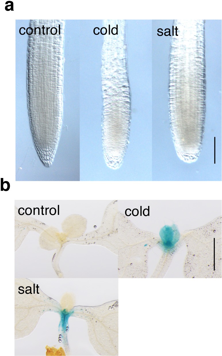 Figure 10—figure supplement 2.